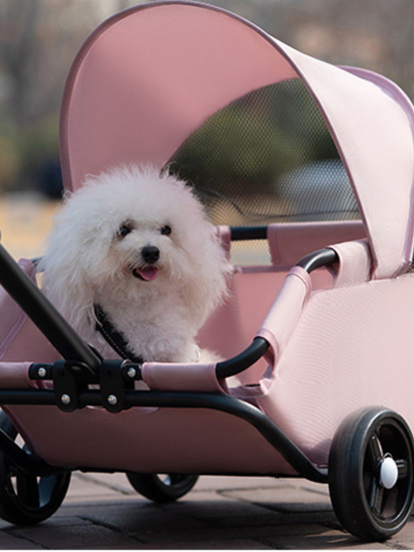 ee4bffd9-af99-4709-815a-d2948d57c2e7-Max